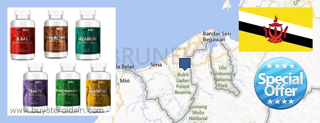 Où Acheter Steroids en ligne Brunei